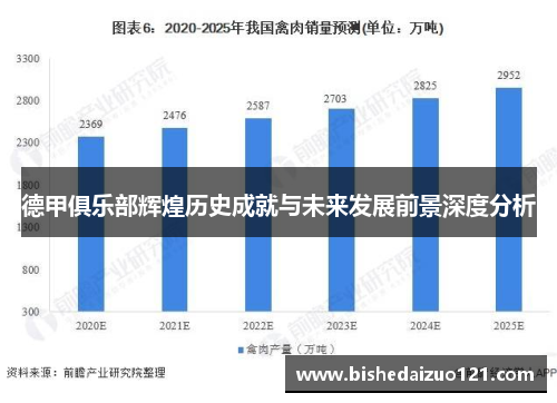 德甲俱乐部辉煌历史成就与未来发展前景深度分析